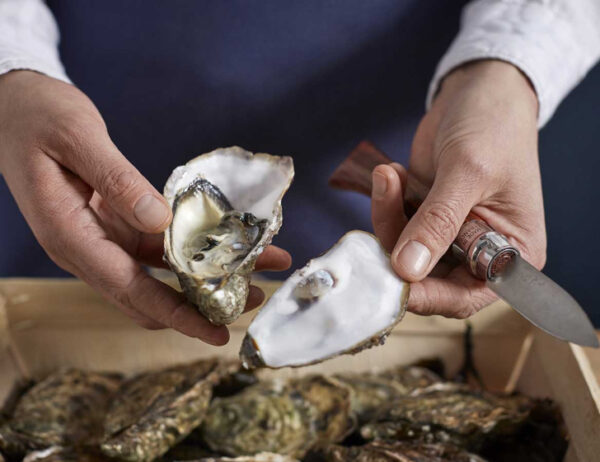 N°09 Oysters