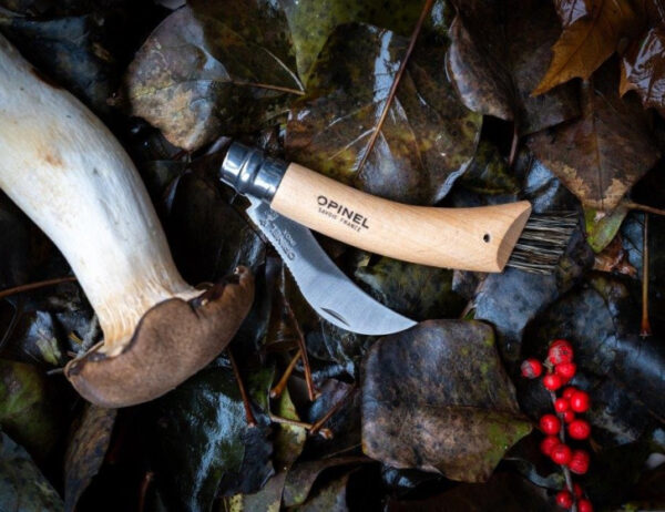 Pencil case N°08 Mushroom + Sheath