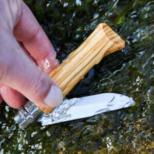 N°08 Olive Wood