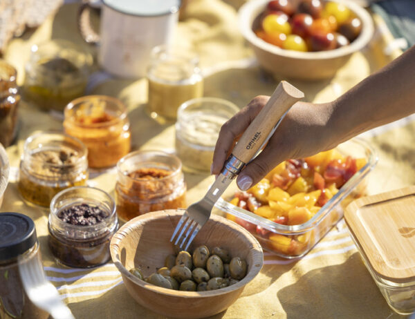 Picnic + Accessories
