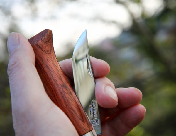 N°06 Padouk Wood