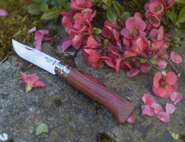 N°08 Red Laminated Birch