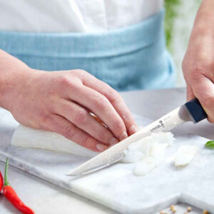 N°221 Fillet Intempora