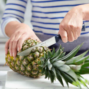 N°220 Carving knife Intempora