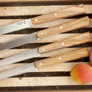 Set of 4 table knives N°125 Bon Appetit South
