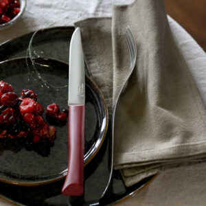 Table knife Bon Appetit + Burgundy