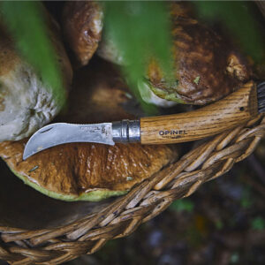 Pencil case N°08 Mushroom + Sheath