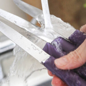 Table knife Bon Appetit + Violet