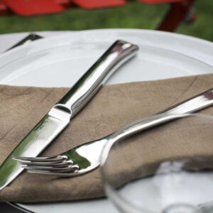 Box of 4 Perpétue Table Knives