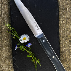 Set of 4 Facette Slate Micro Serrated table knives