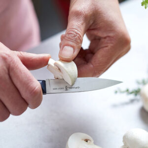 N°225 Paring Knife Intempora