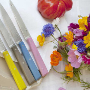 Set of 4 table knives N°125 Bon Appetit Campagne