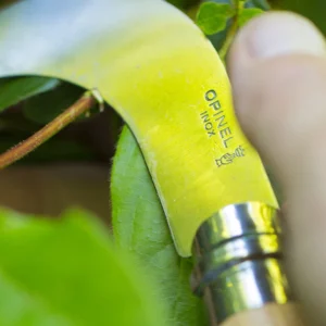 Λεπίδες κλαδέματος